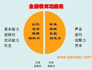 山東臨沂與臨沭全腦開發(fā)服務(wù) 可靠提供商、廠家與價格咨詢指南